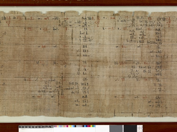 Portion of Rhind Mathematical Papyrus.