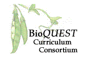 BioQUEST Curriculum Consortium