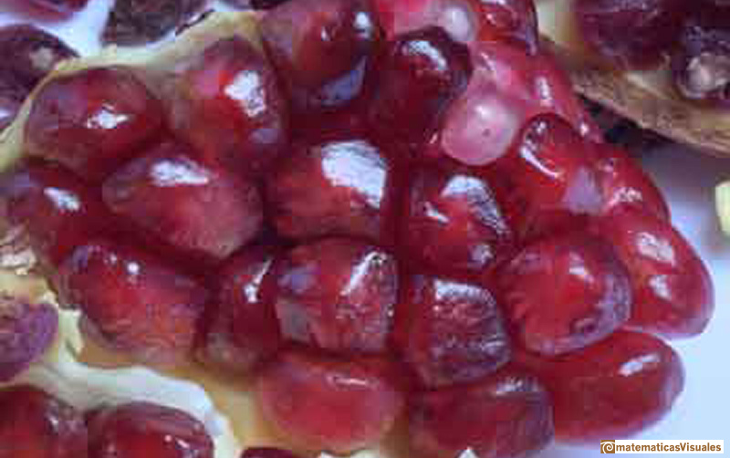  Pomegranate seeds with rhombic faces.