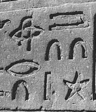 Hieroglyphs from Edfu Temple.