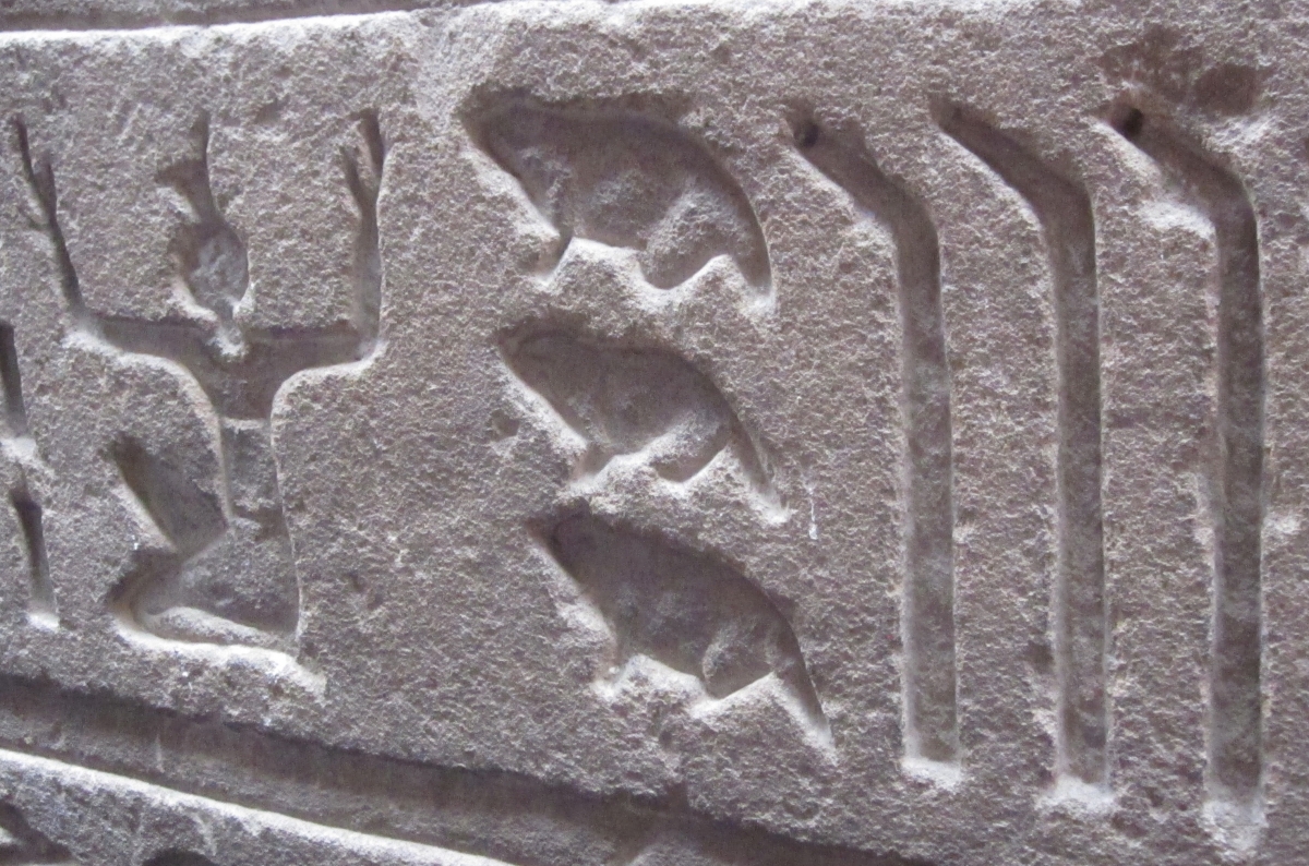 Detail of hieroglyphs from Edfu Temple.