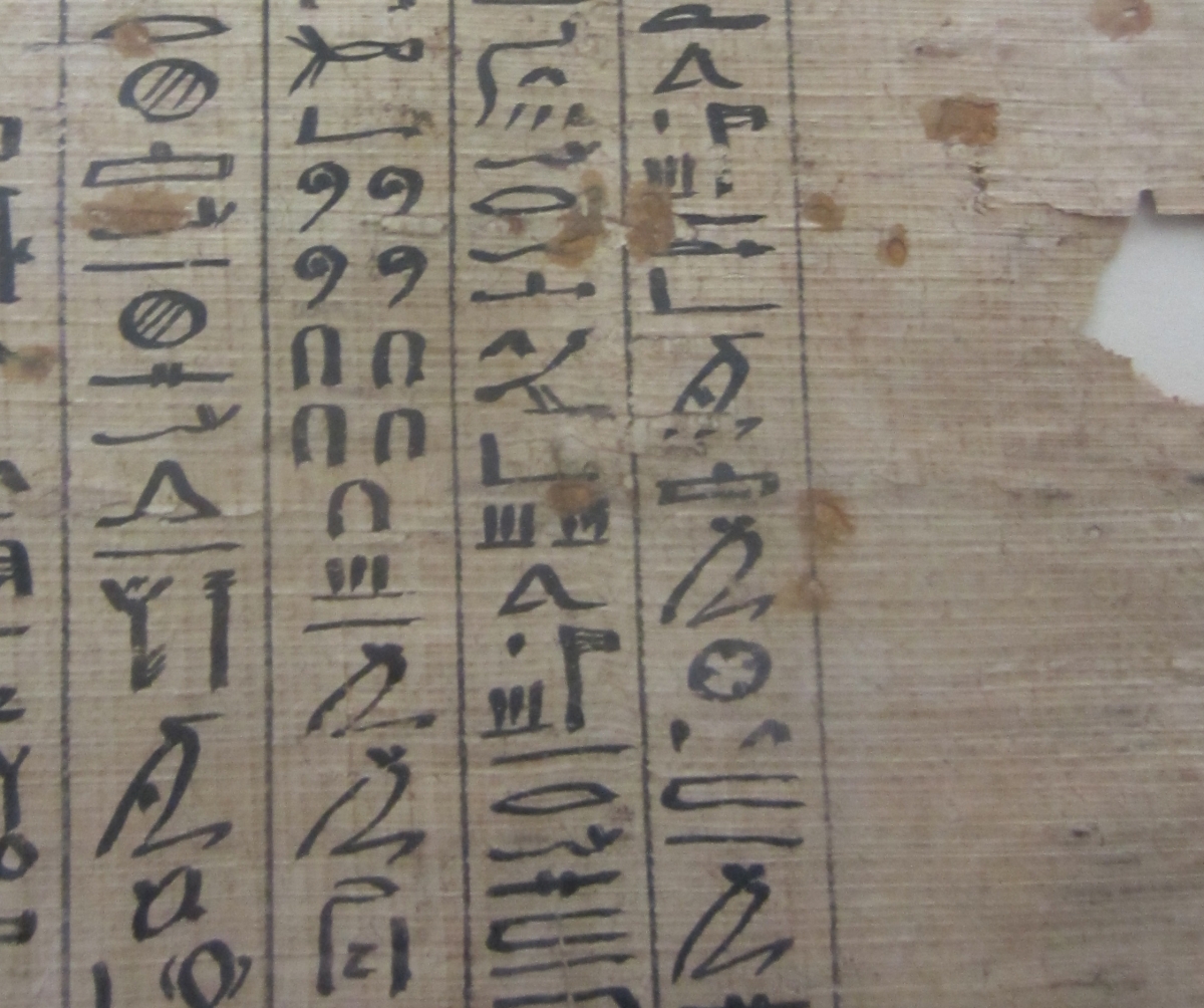 Hieroglyphs on a papyrus.