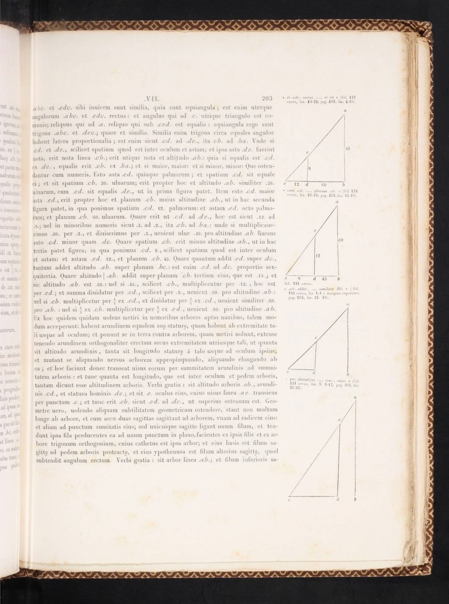 Page 203 from Fibonacci's Practica Geometriae.